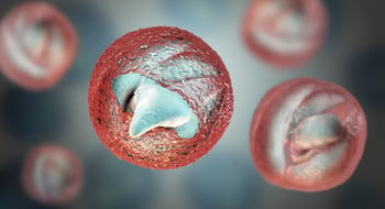 Cryptosporidium Doesn't Care About Your Filter's 1µm Label